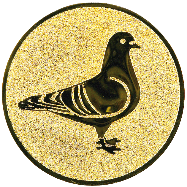 3b3d7e2c_3d22_4365_8270_58f9ea218c08.png