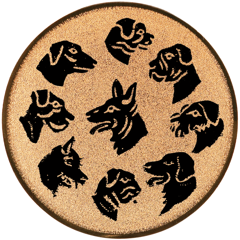 b5371496_8f39_42d4_9cdc_1160ab304cf1.png
