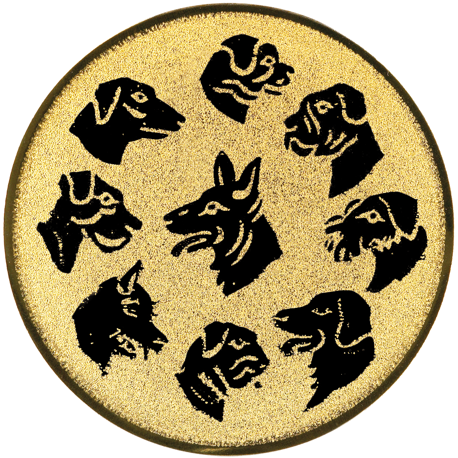 f13f9468_bc57_410d_b55b_301f170c5a86.png